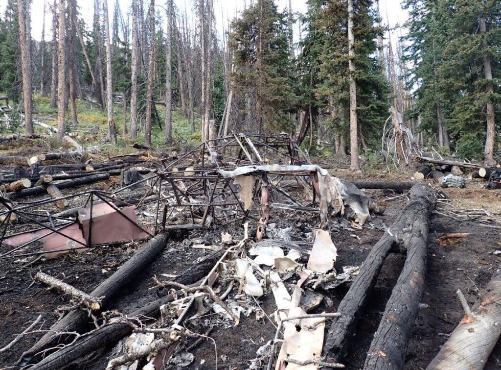Wider view of a forest crash site showing a collapsed and burned aircraft frame, surrounded by downed and blackened tree trunks.
